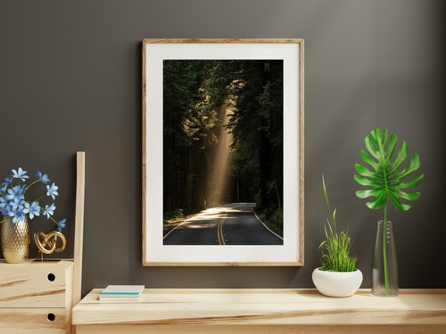 Sunbeam on Forest Road