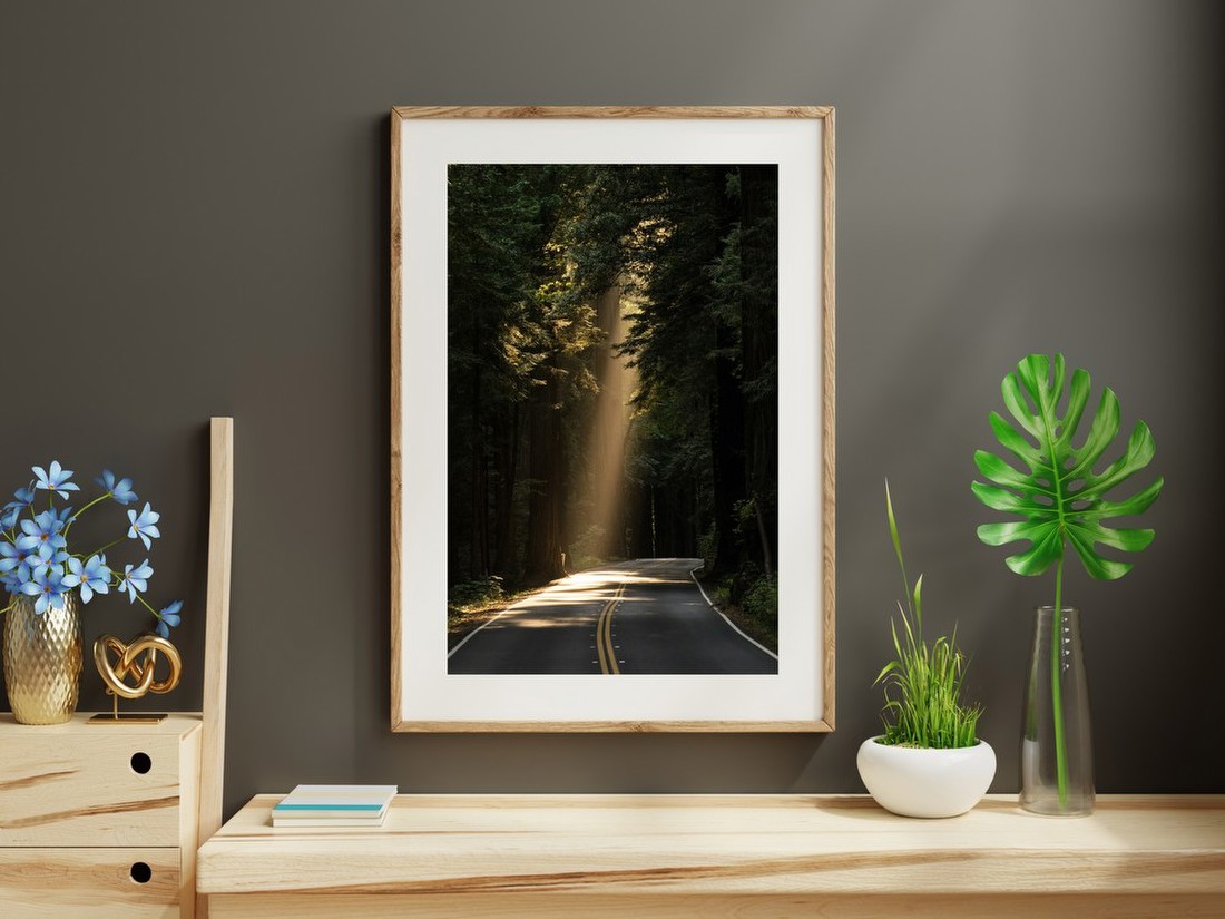 Sunbeam on Forest Road