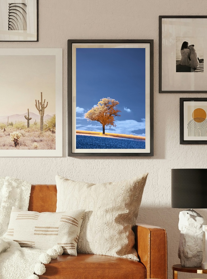 Lone Tree in Infrared Landscape