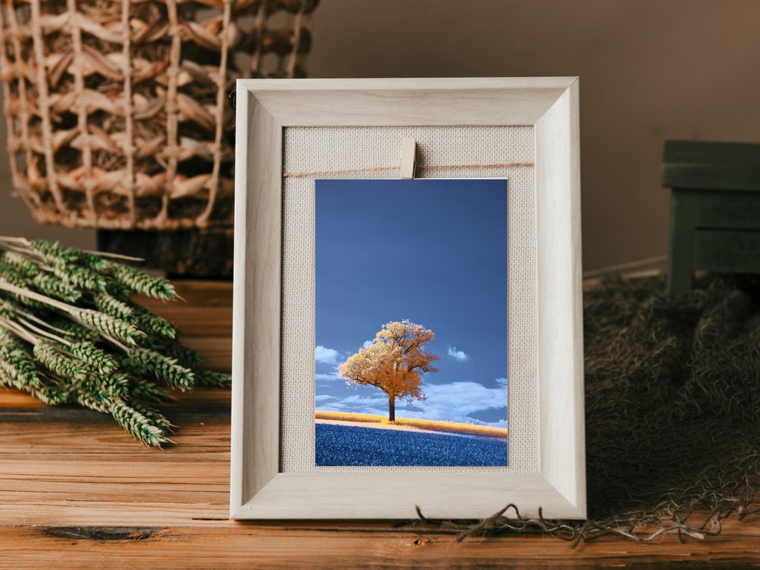 Lone Tree in Infrared Landscape