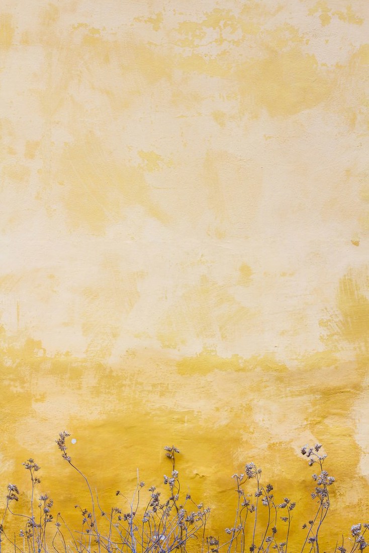 Yellow Wall and Wild Stems