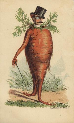 Ribsam & Sons Carrot Man Trade Card