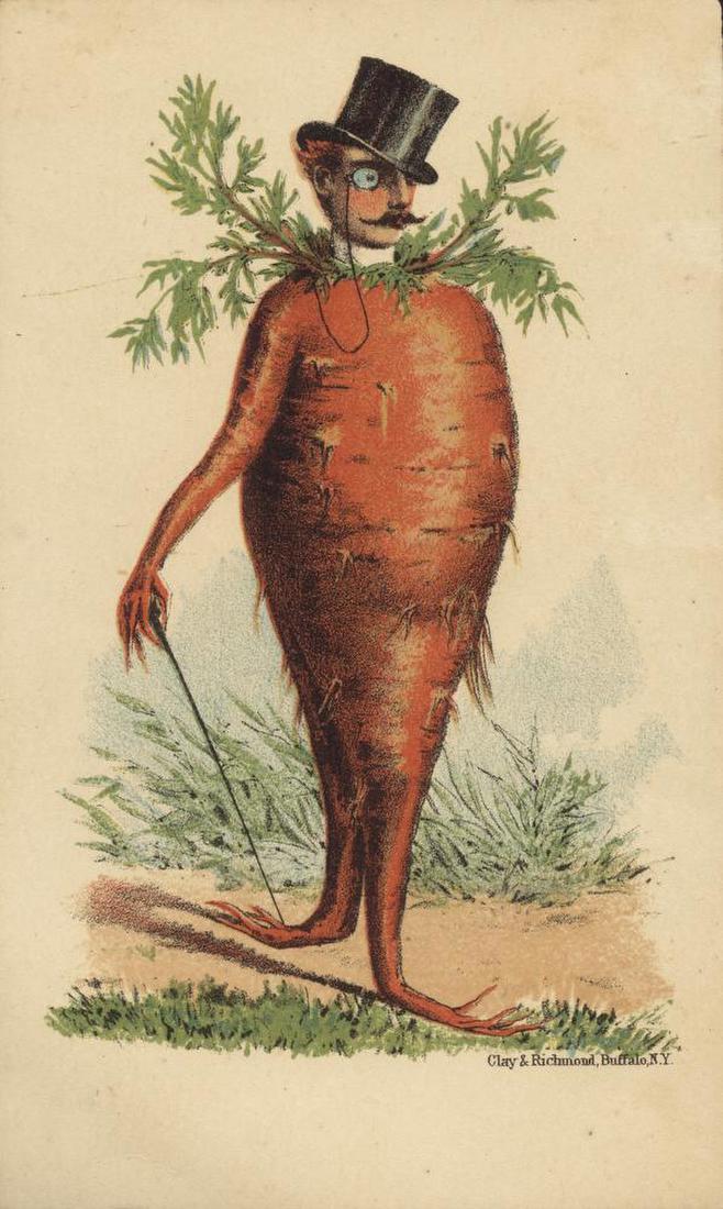 Ribsam & Sons Carrot Man Trade Card
