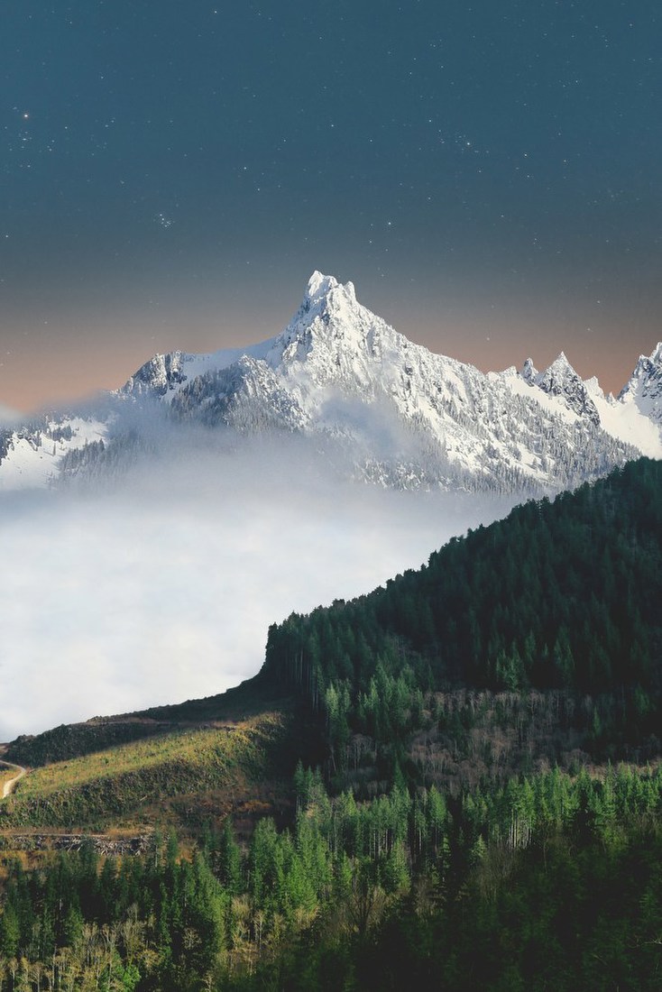 Snowy Peak Above Forest