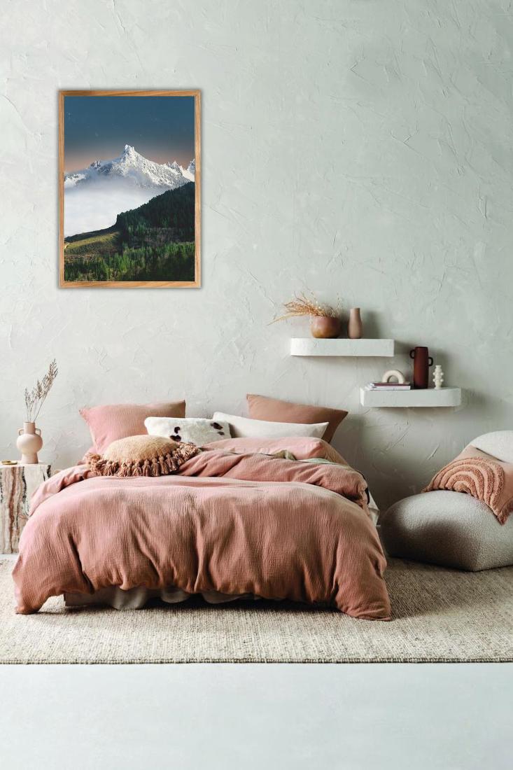 Snowy Peak Above Forest
