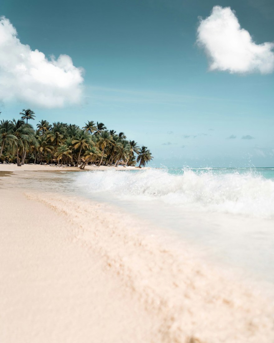 Tropical Shoreline