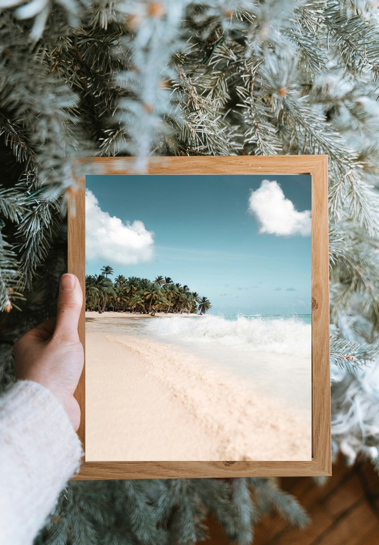 Tropical Shoreline