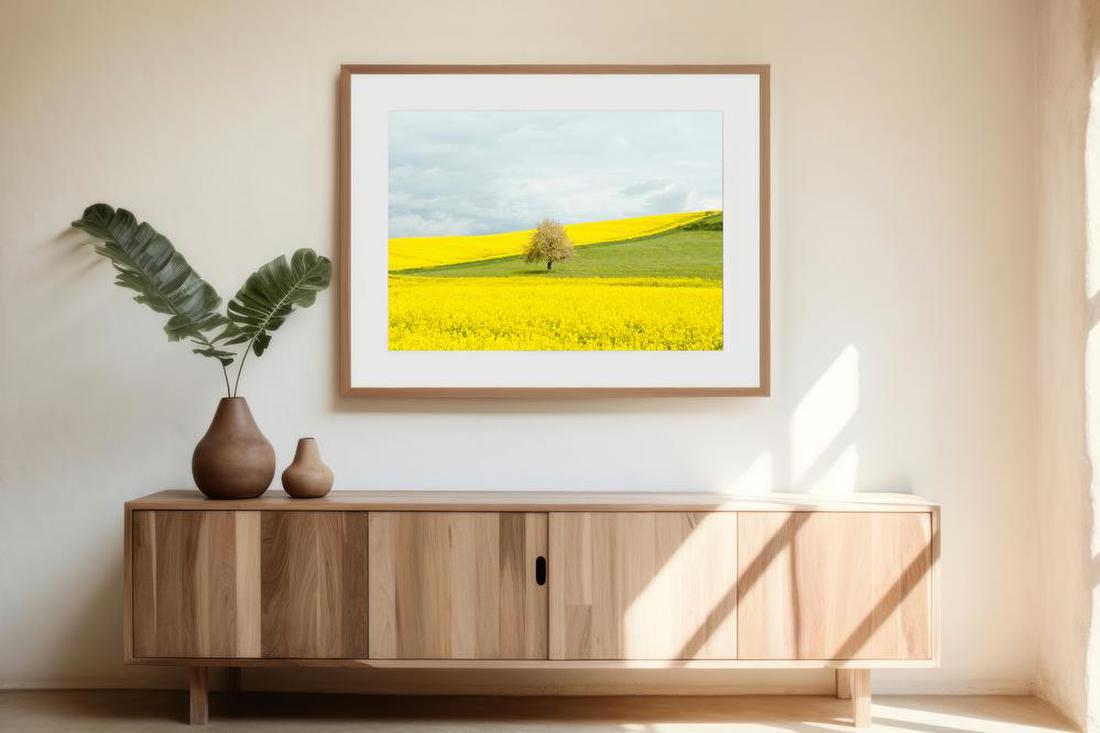 Tree in Yellow Fields