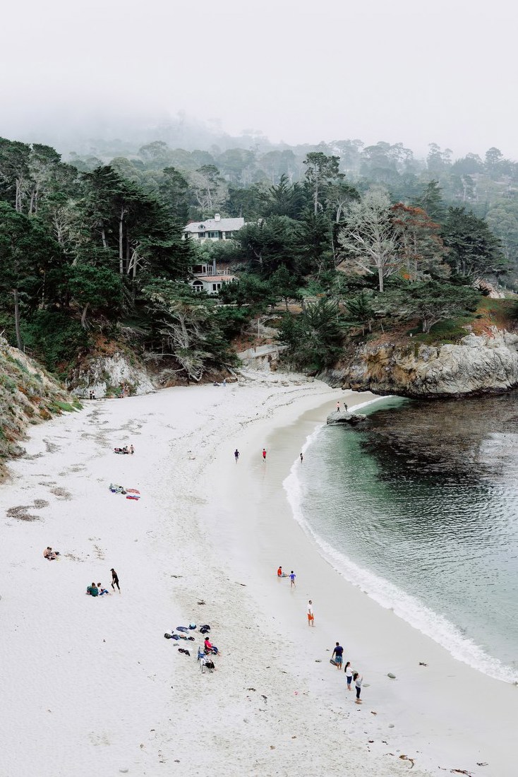 Misty Coastal Beach