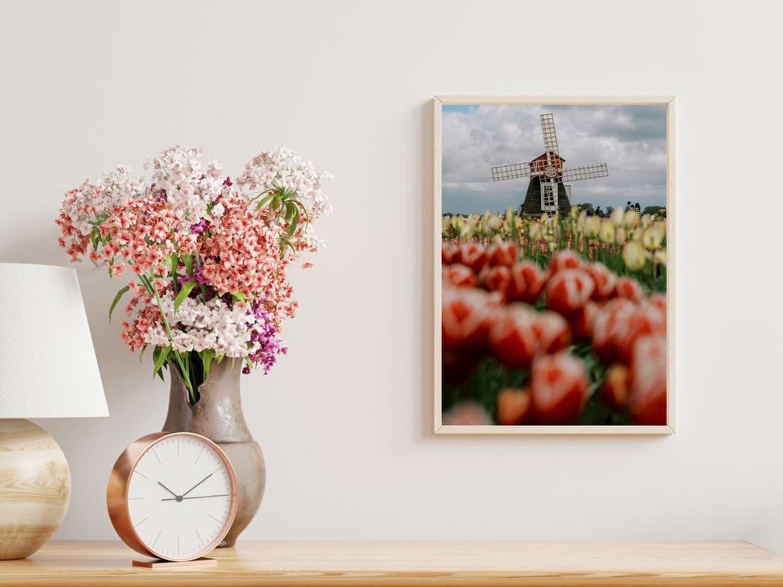 Windmill Among Tulips
