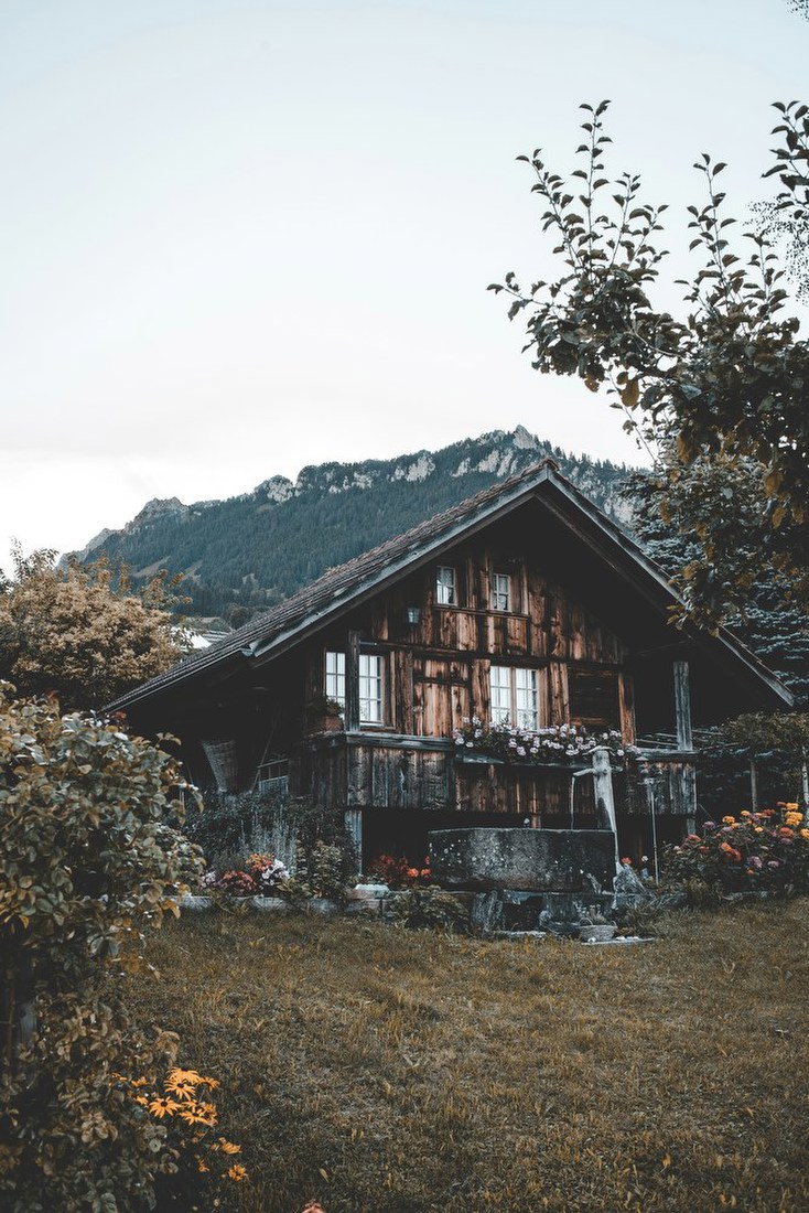 Mountain Cabin Retreat
