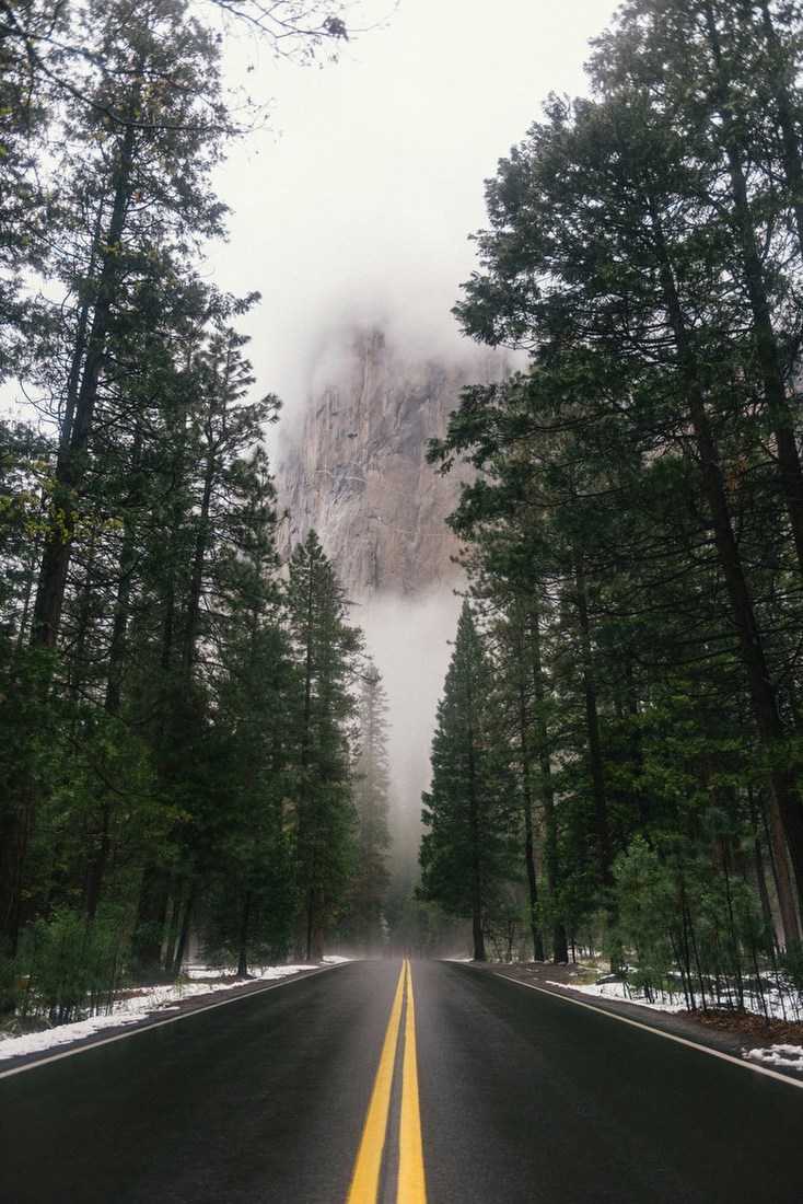 Misty Forest Road