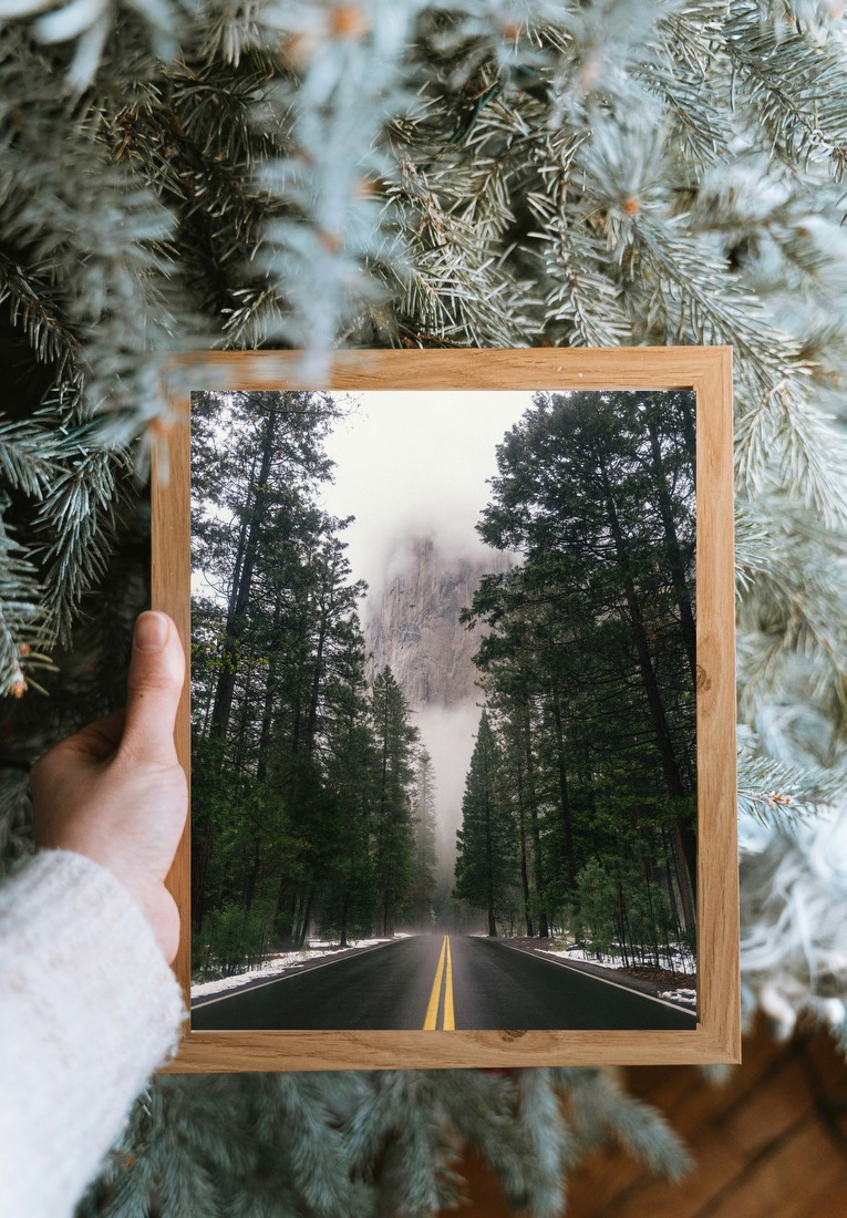 Misty Forest Road