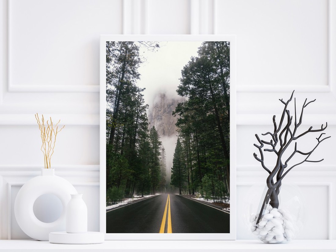 Misty Forest Road
