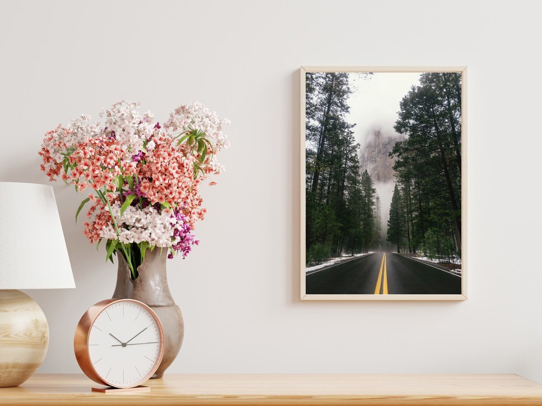 Misty Forest Road