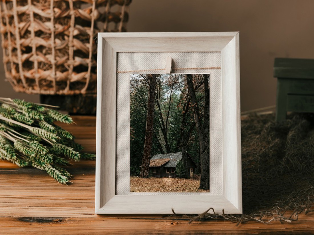 Cabin in the Forest