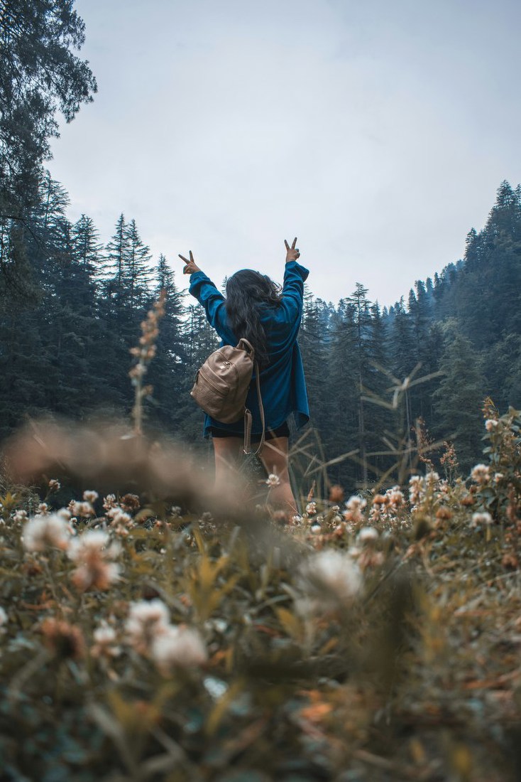 Hiker in Mountain Meadow