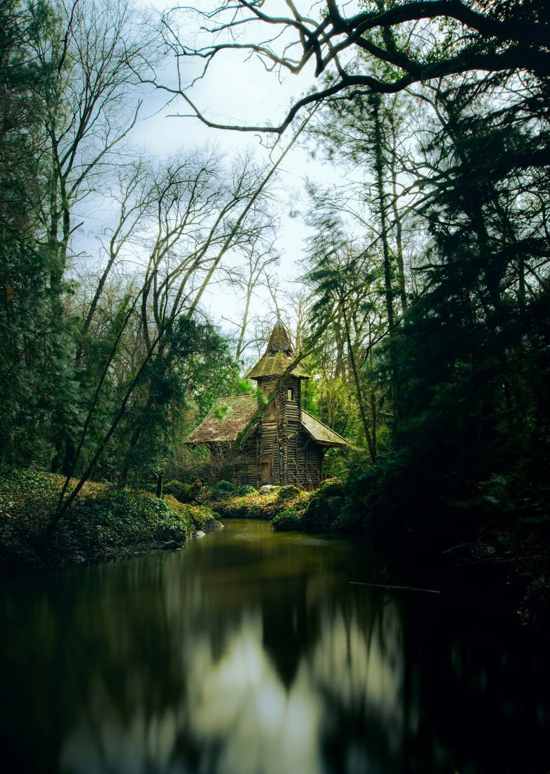 Forest Cabin by the Pond