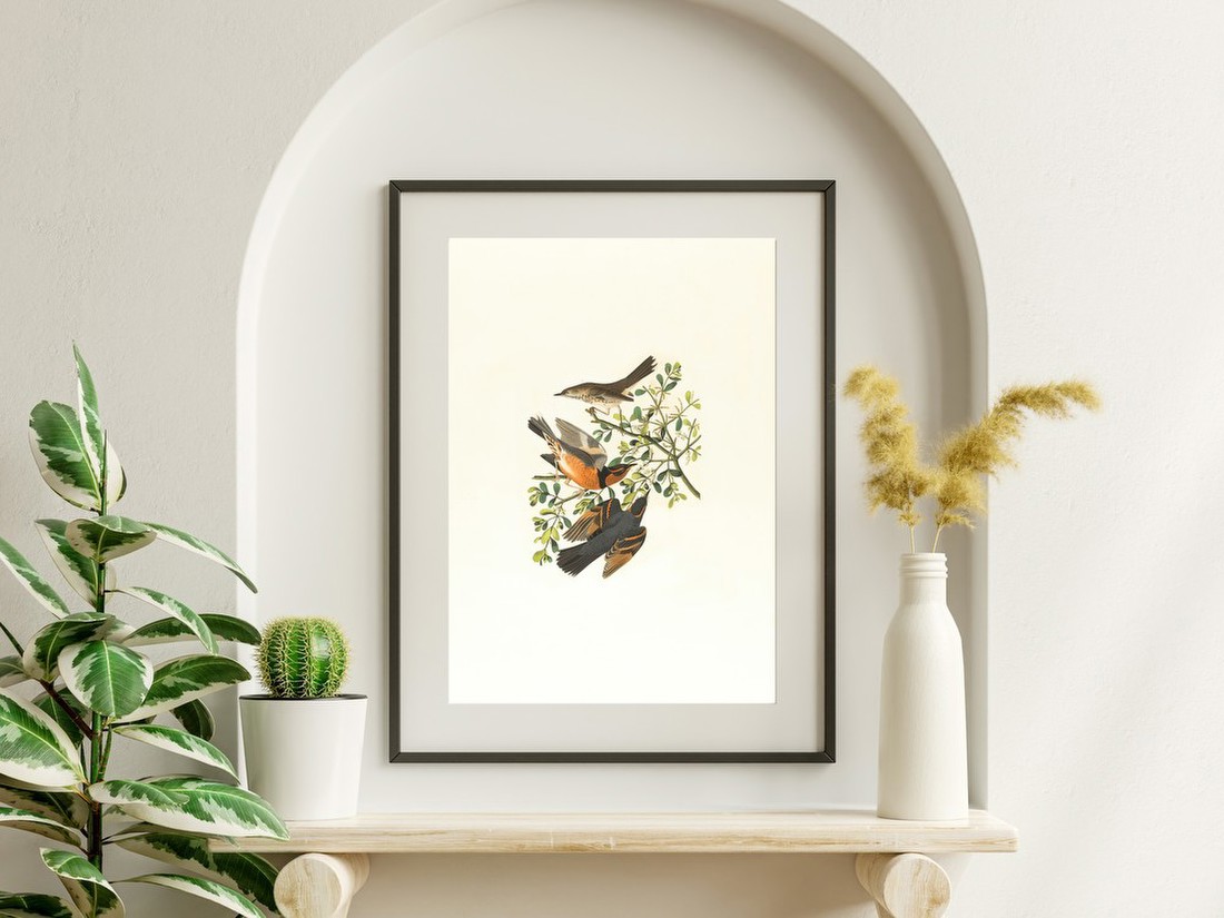 Birds on a Branch – John James Audubon