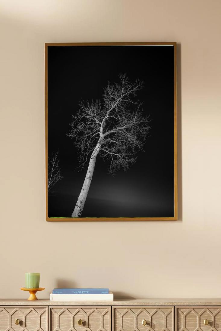 Lone Tree at Night