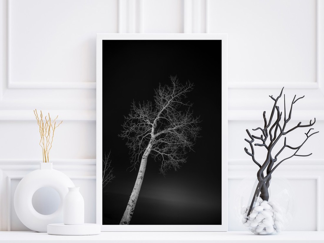 Lone Tree at Night