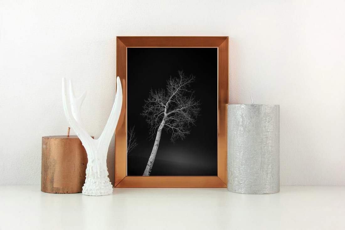 Lone Tree at Night