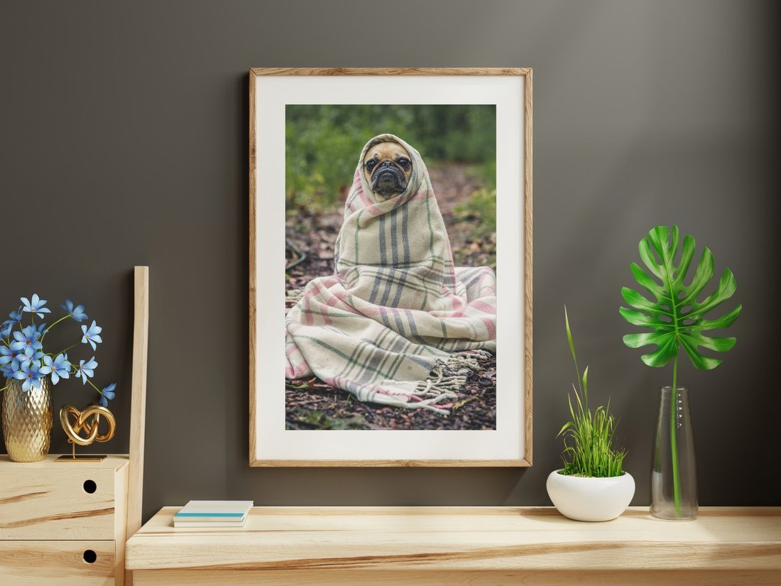 Cozy Dog in the Woods