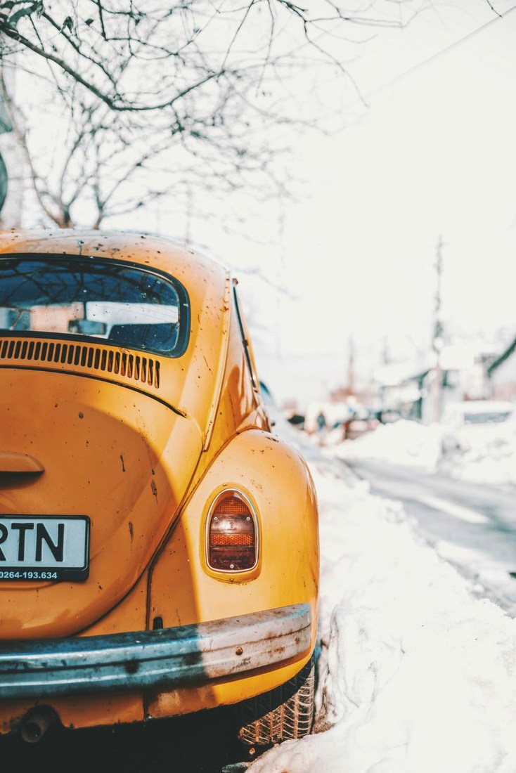 Yellow Beetle in Snow