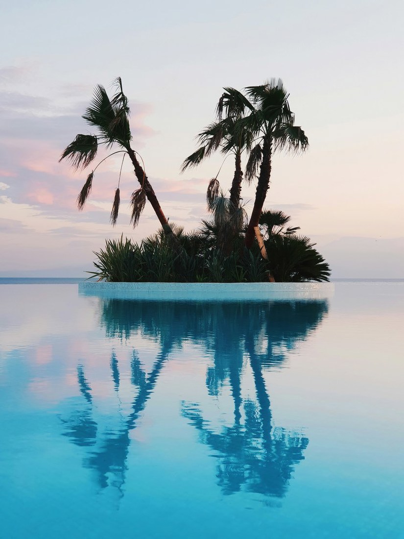 Palm Reflections at Sunset