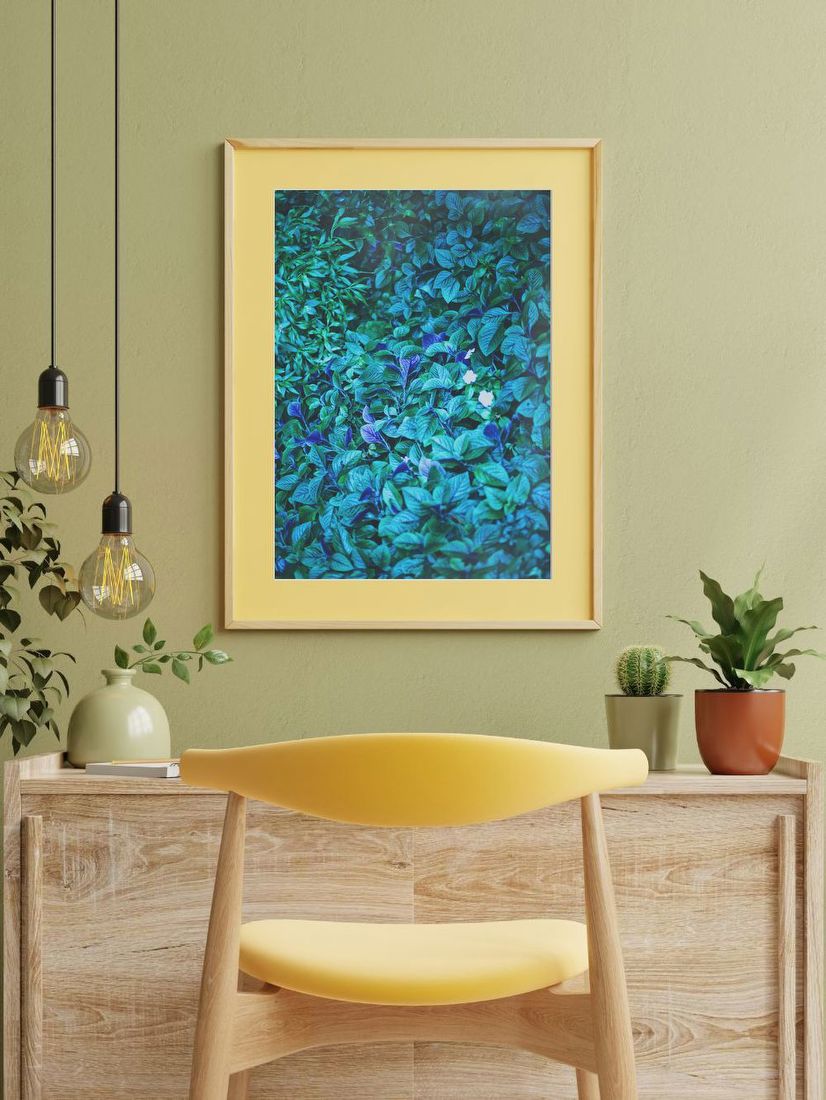Blue-Toned Foliage