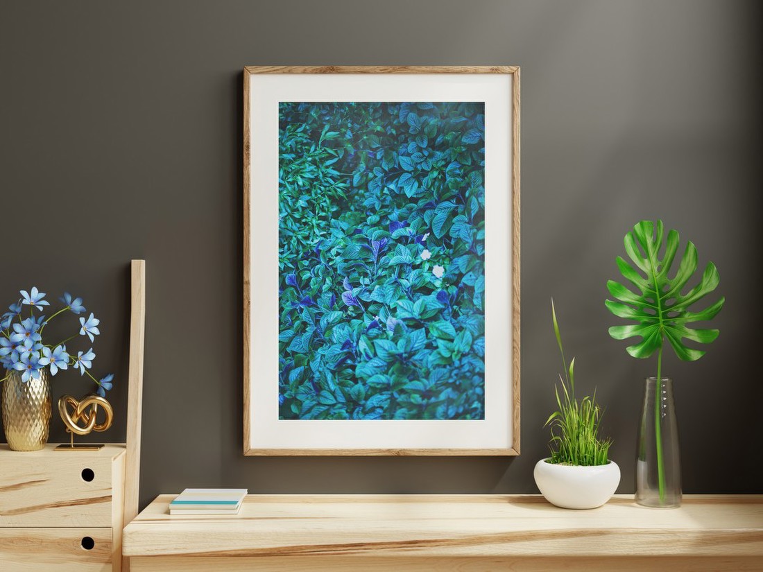 Blue-Toned Foliage