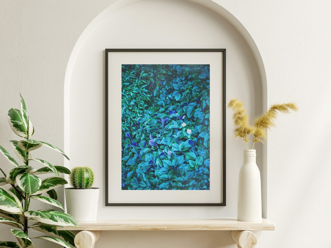 Blue-Toned Foliage