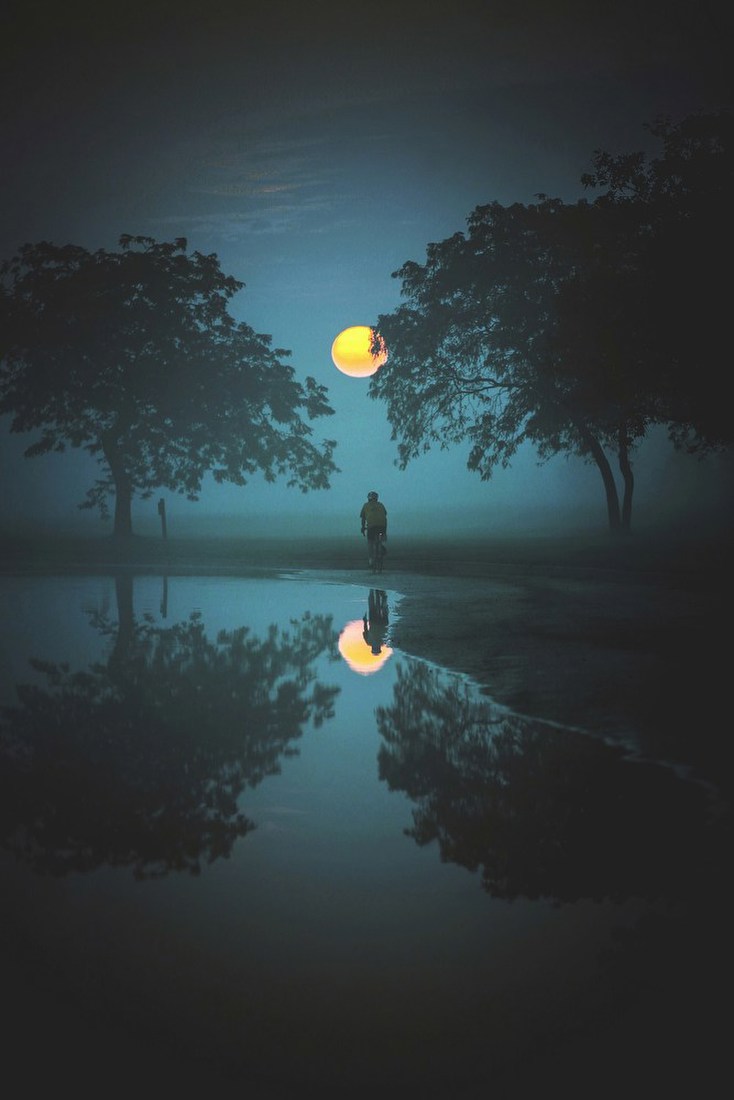 Moonlit Path