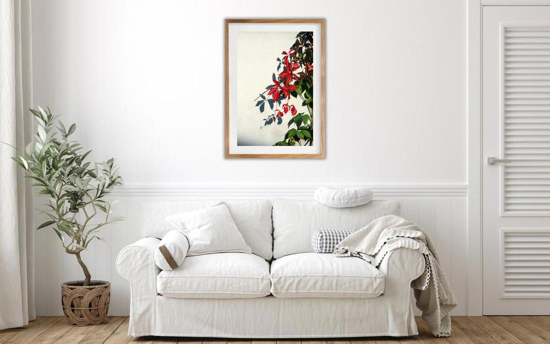 Red Vine Leaves on Wall