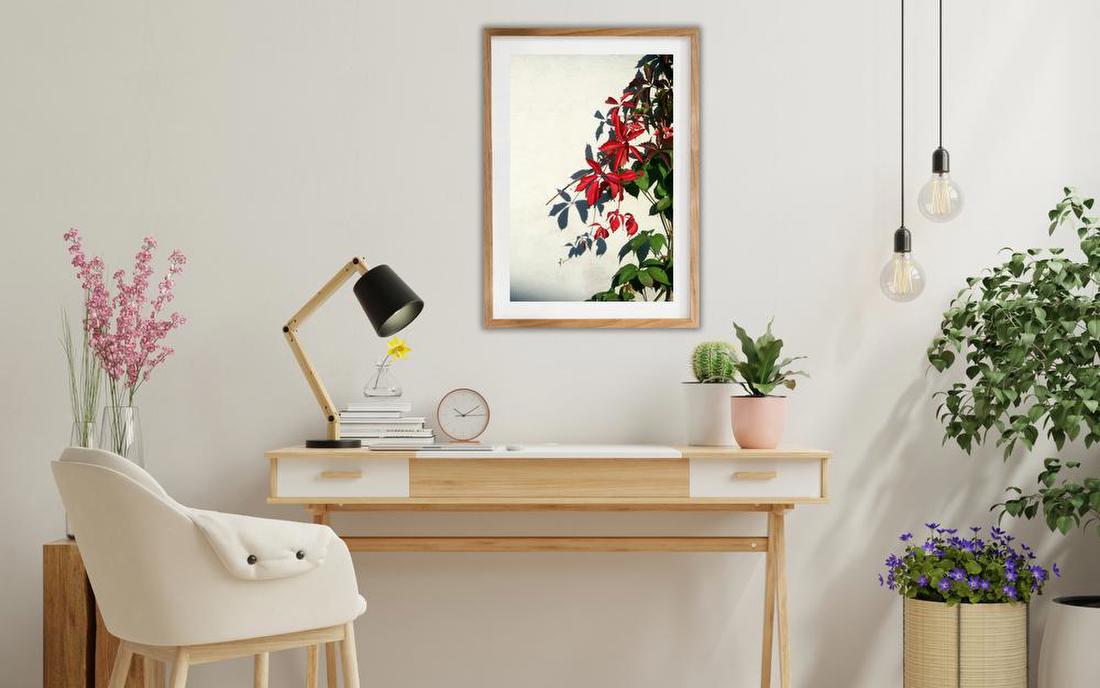 Red Vine Leaves on Wall