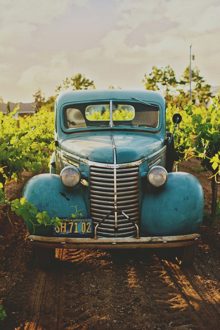 Vintage Car in Vineyard