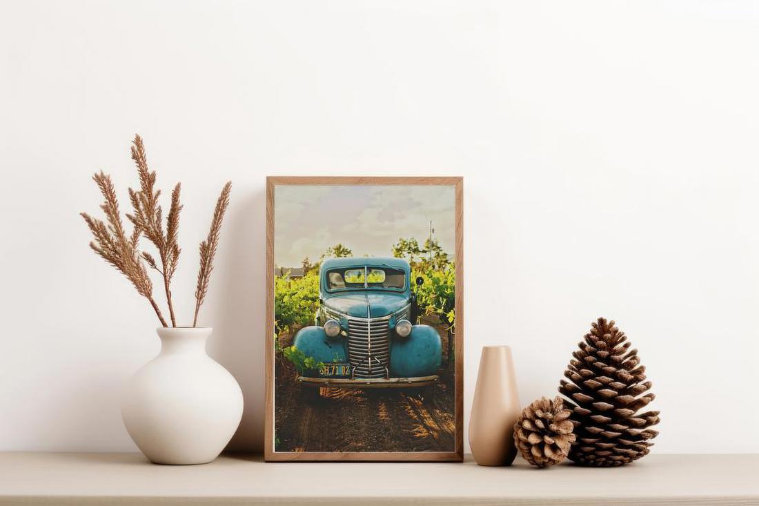 Vintage Car in Vineyard