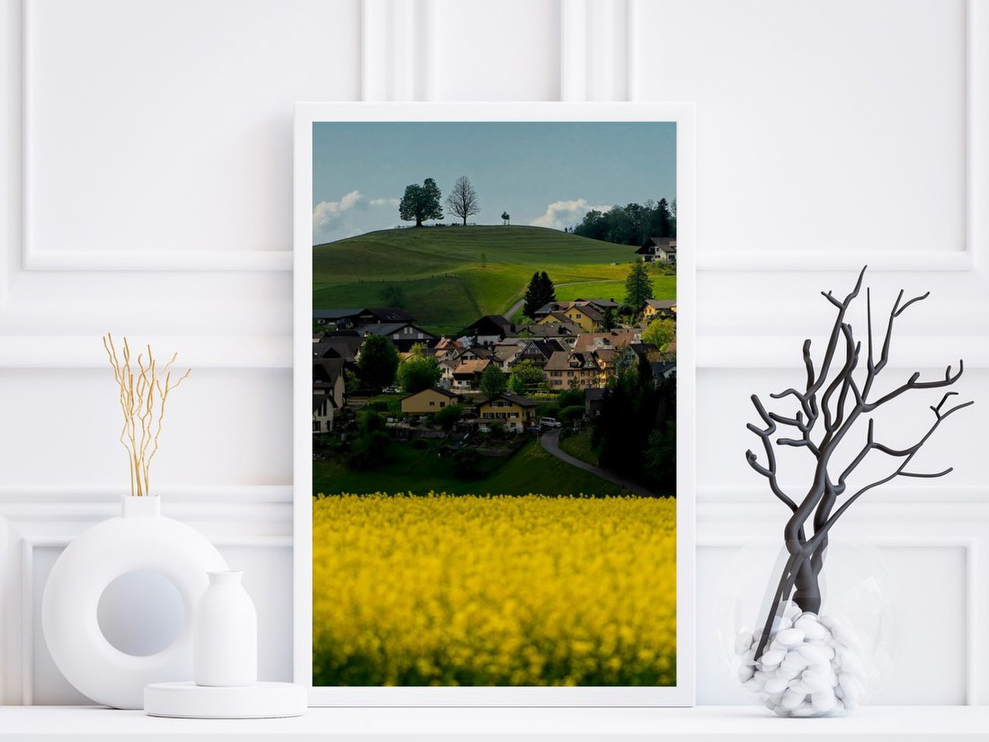 Hillside Village in Bloom