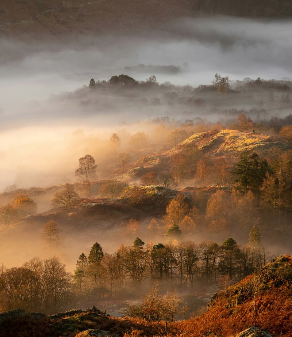 Misty Autumn Hillside