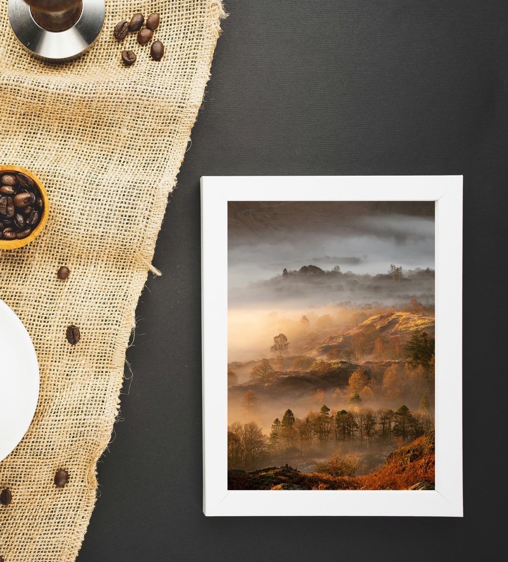 Misty Autumn Hillside