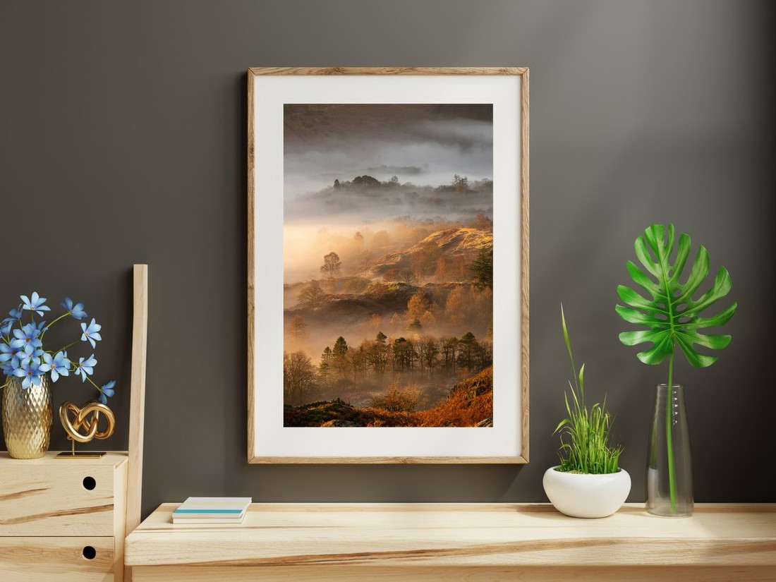 Misty Autumn Hillside