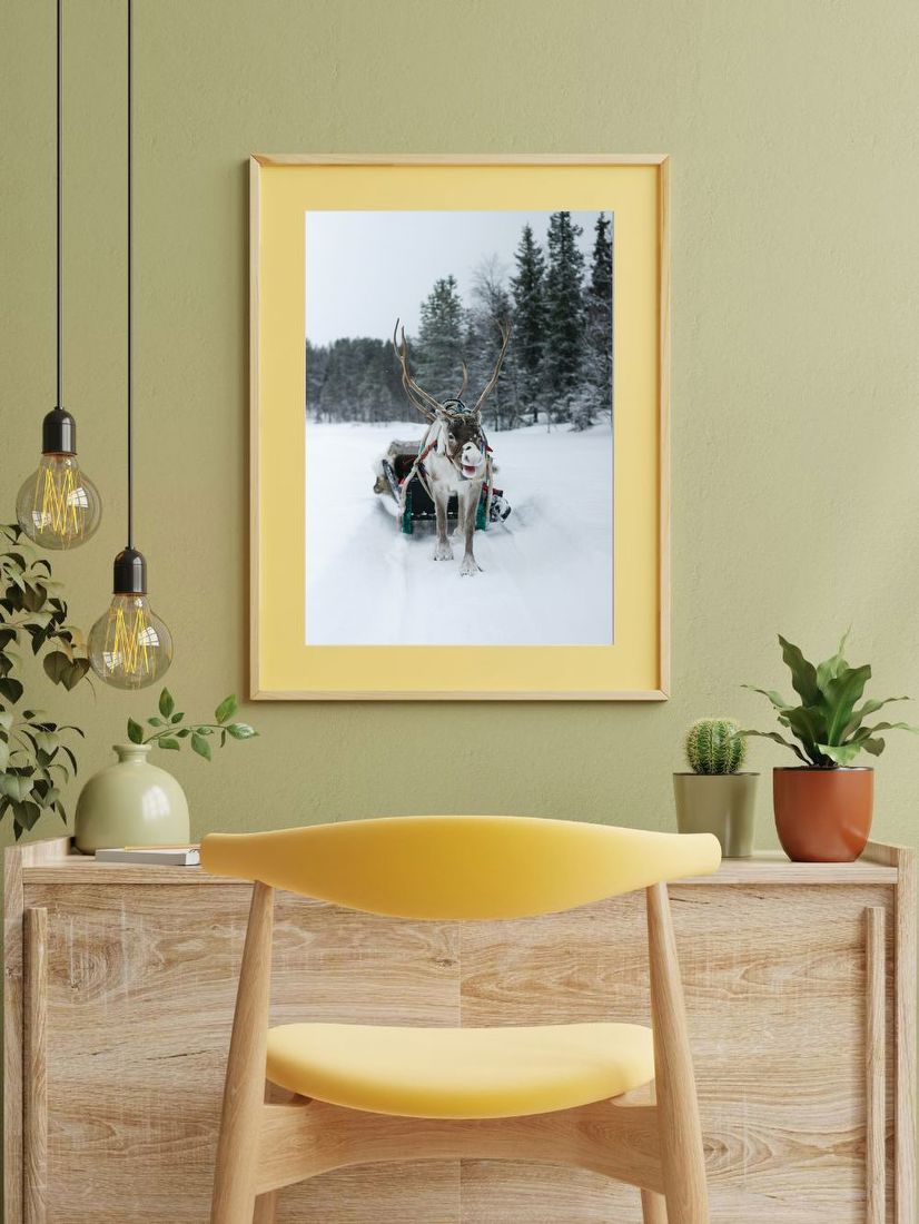 Reindeer in Snowy Forest