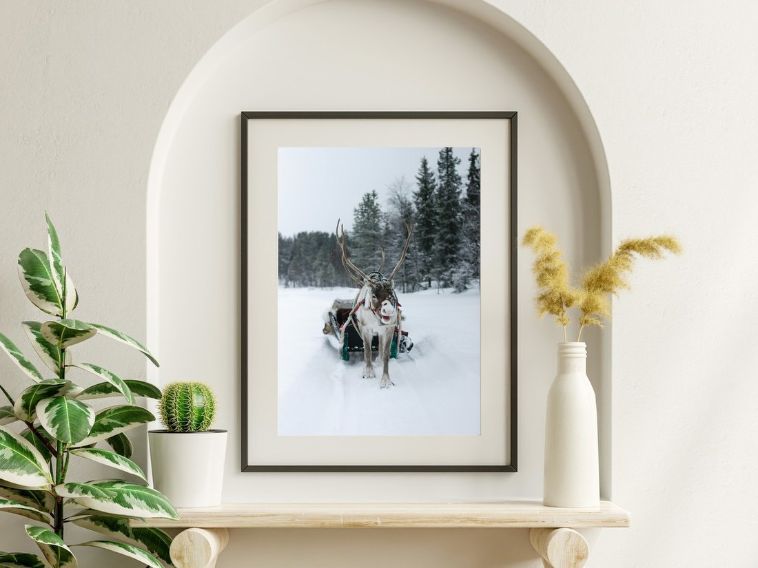 Reindeer in Snowy Forest