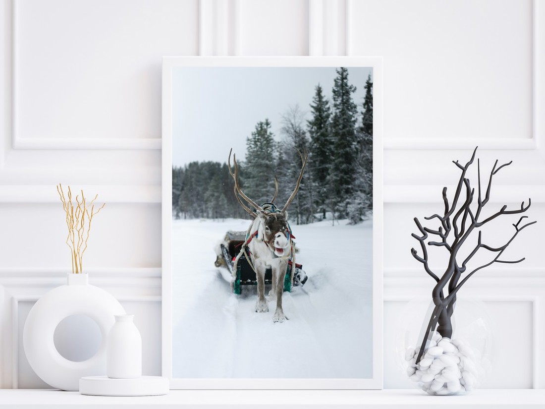 Reindeer in Snowy Forest