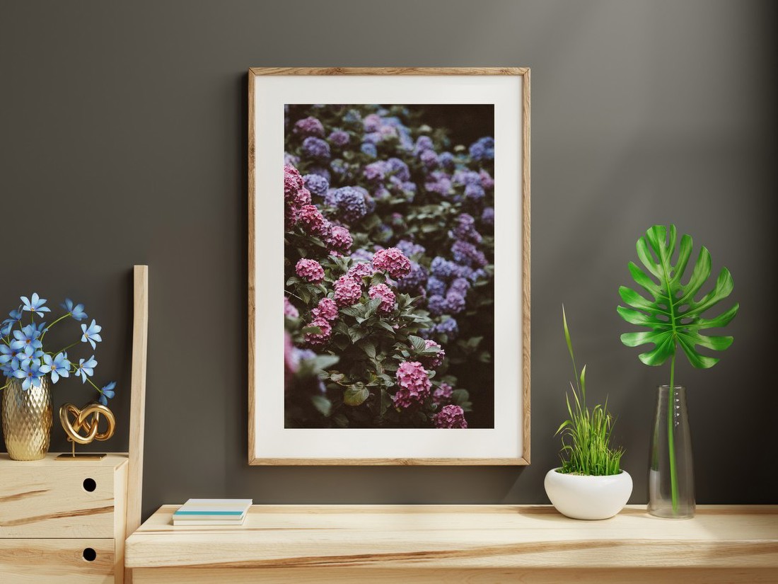Hydrangea Garden