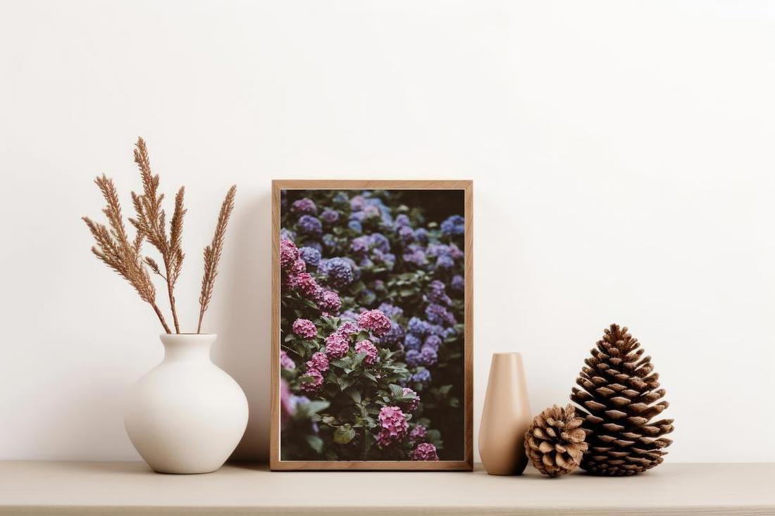 Hydrangea Garden