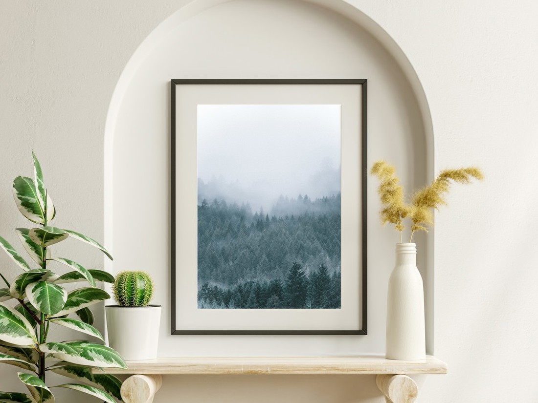 Misty Forest Vista