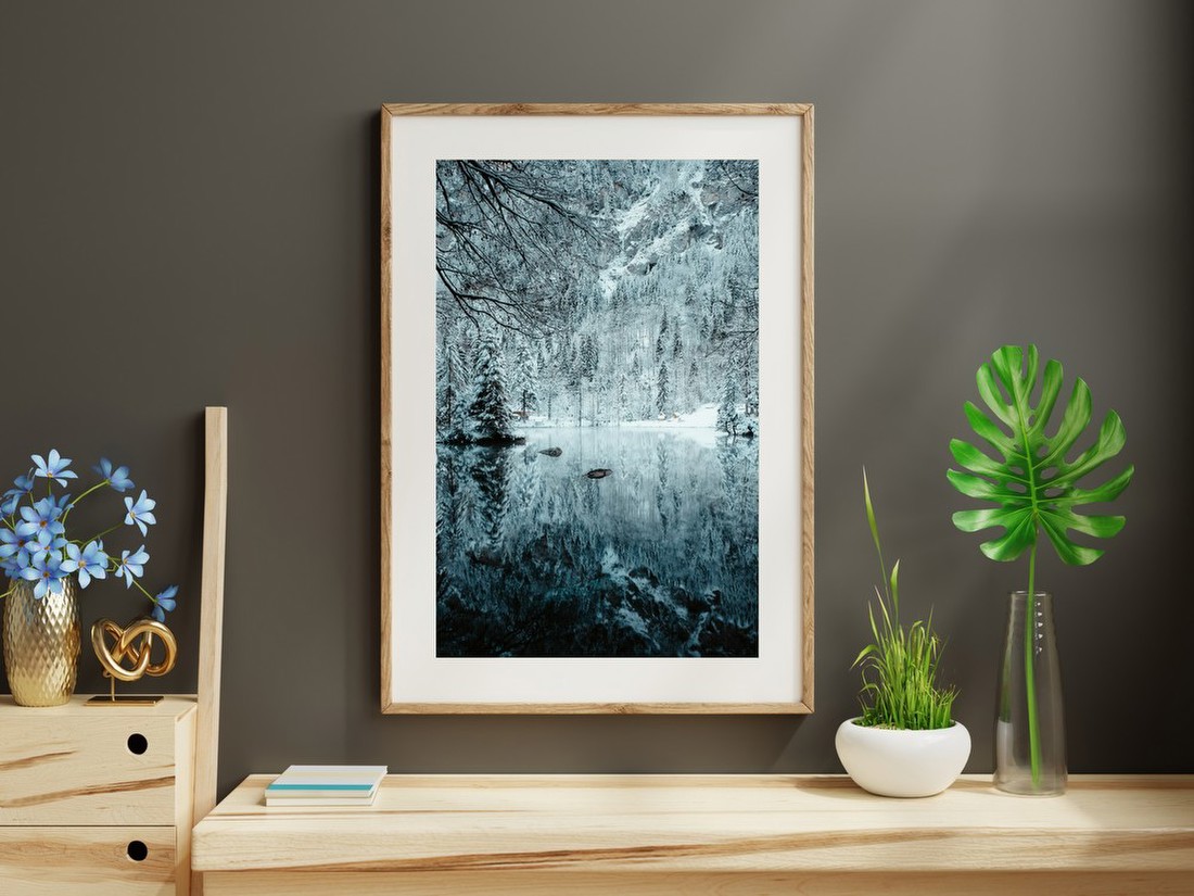 Winter Forest Reflection