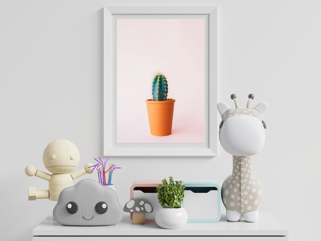 Cactus in Terracotta Pot