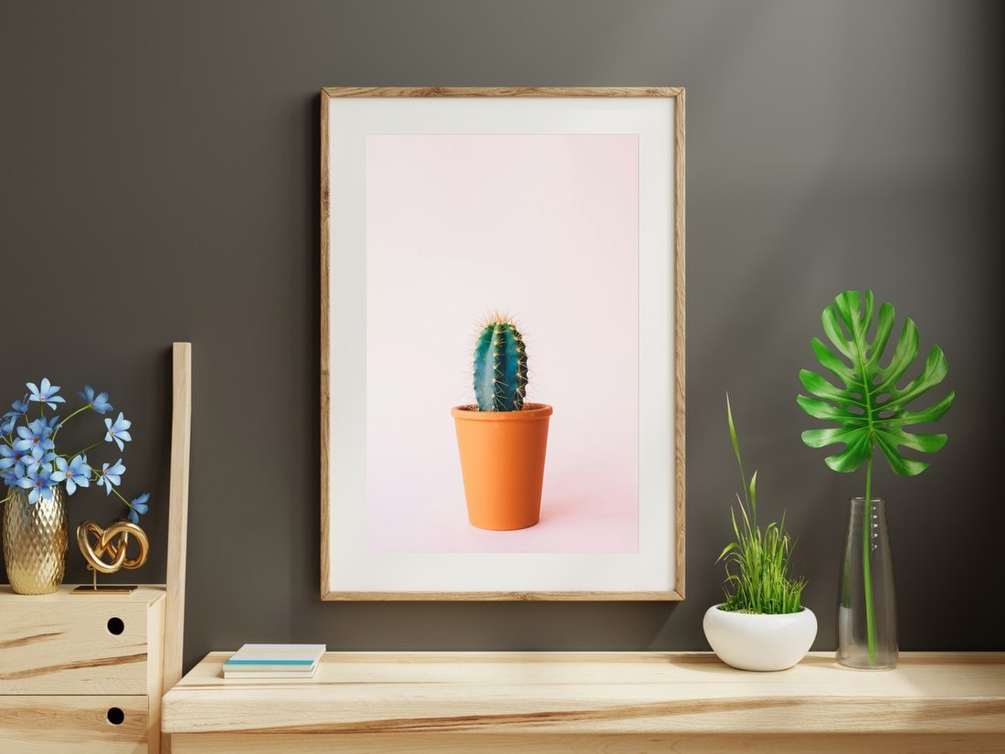 Cactus in Terracotta Pot